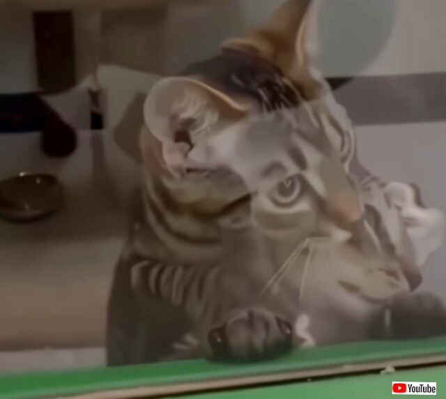 20230920_034812 (3)_batch