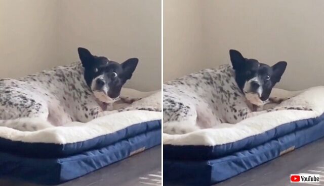 20221109_235706_batch