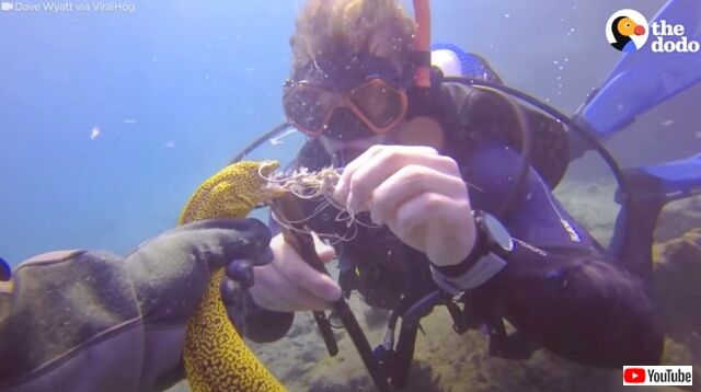 20221009_181508 (6)_batch