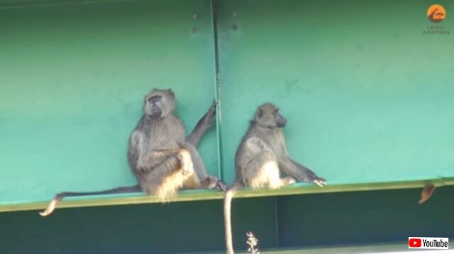 20230621_011825_batch