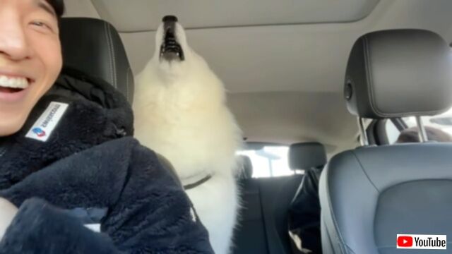 20240210_184614 (2)_batch