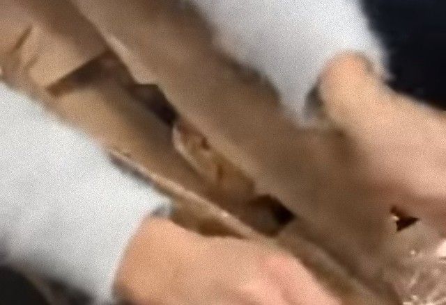 11cats5_e