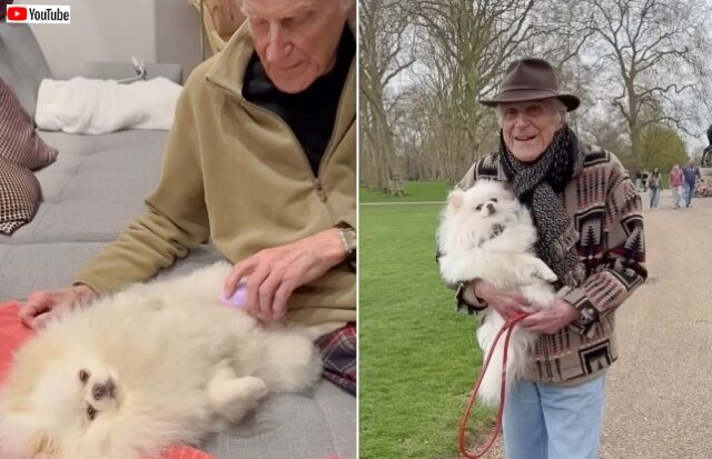 20230415_131506 (3)_batch