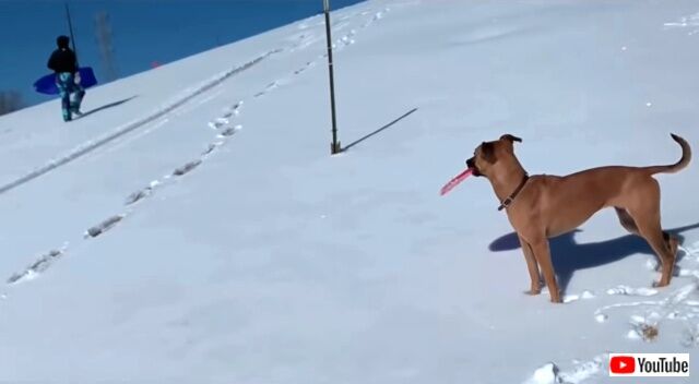 sledding3_640