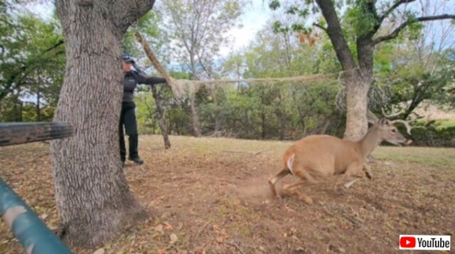 20231025_221758 (8)_batch