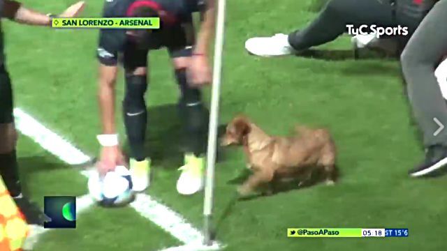 soccer6