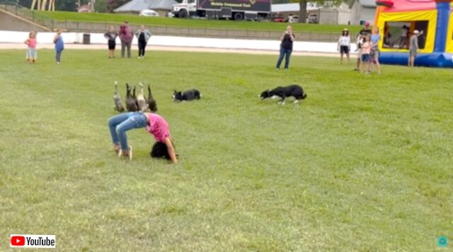 20240128_000252 (7)_batch