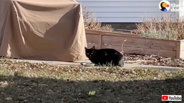 20240124_195720 (2)_batch