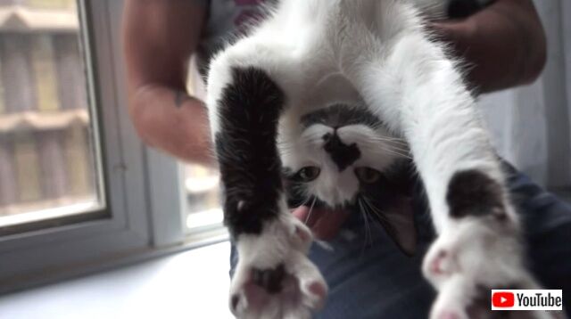 howtowalkurhuman12_640