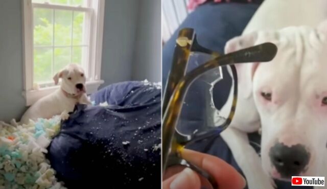 20230501_175032 (4)_batch