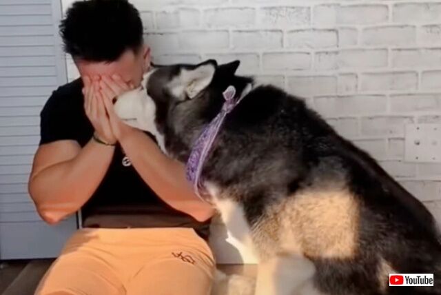 20220930_174021 (4)_batch