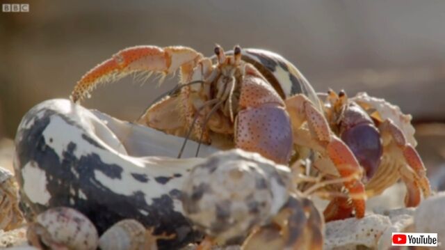 20230518_113231 (4)_batch