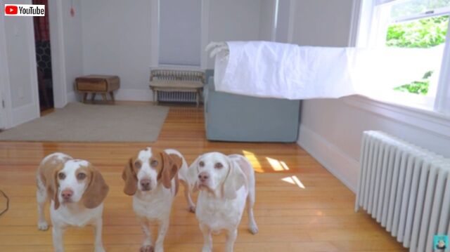 20230520_235839 (5)_batch