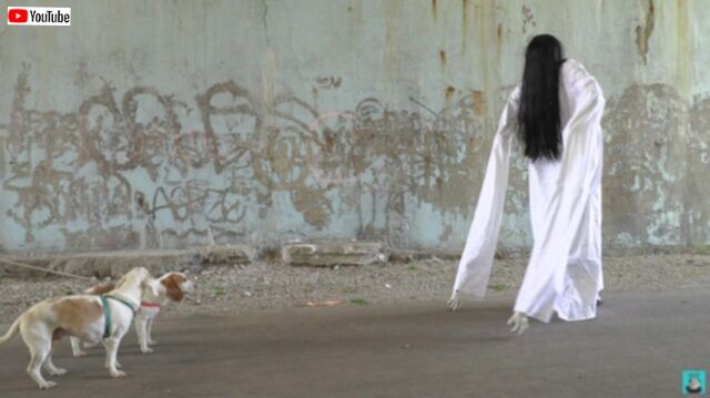 20230520_235839 (3)_batch