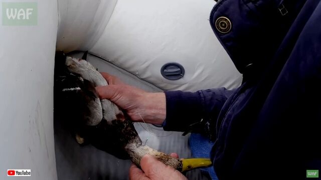 20221110_195126 (2)_batch