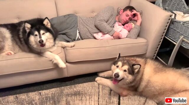 familynaptime3_640