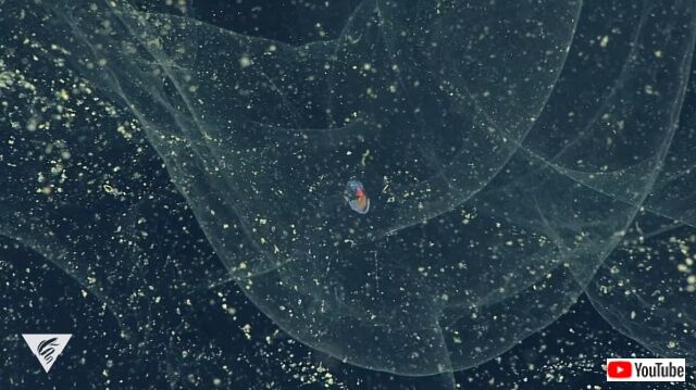 mbari3_640