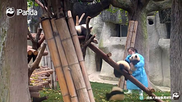 pandananny1