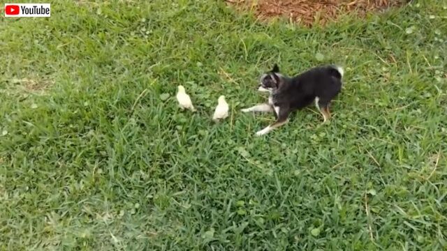 20220407_004423 (2)_batch