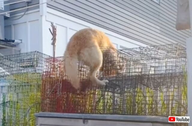 20231005_120854 (3)_batch