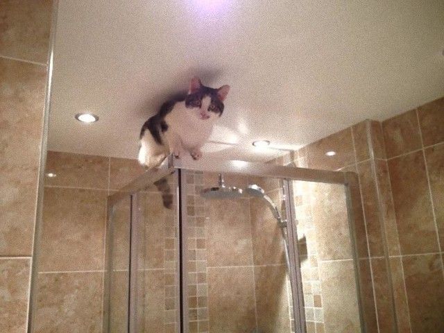 5adde97110dea__605_e