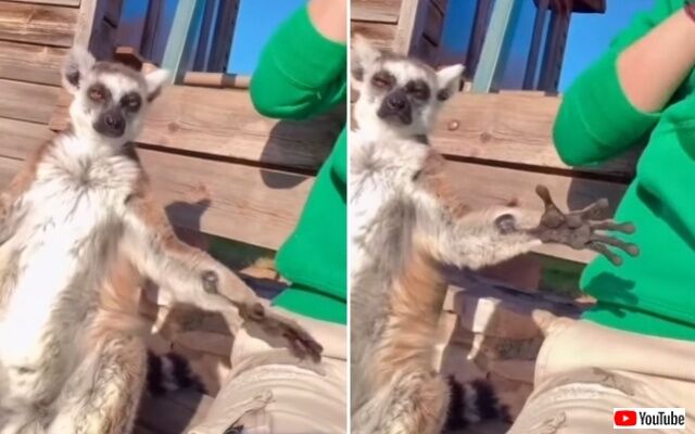 20220405_074728 (2)_batch