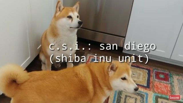 csi1_e