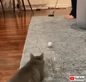 cathelpsgame