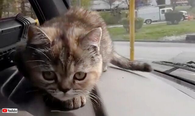 20230128_194141 (4)_batch