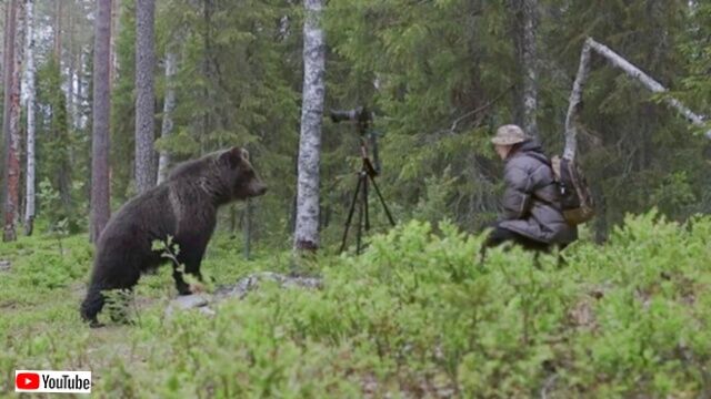 「生きた心地がしなかったよ！」森の中でクマーに遭遇したカメラマン、落ち着いて熊用スプレーで撃退する