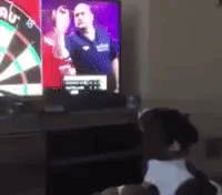 darts