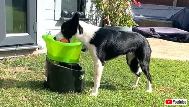 fetch1_640