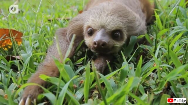 20230609_090338 (3)_batch