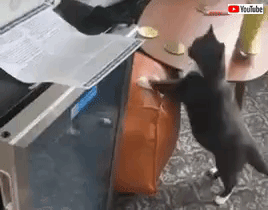 printer