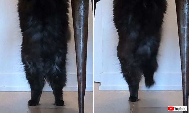 20220521_033723_batch