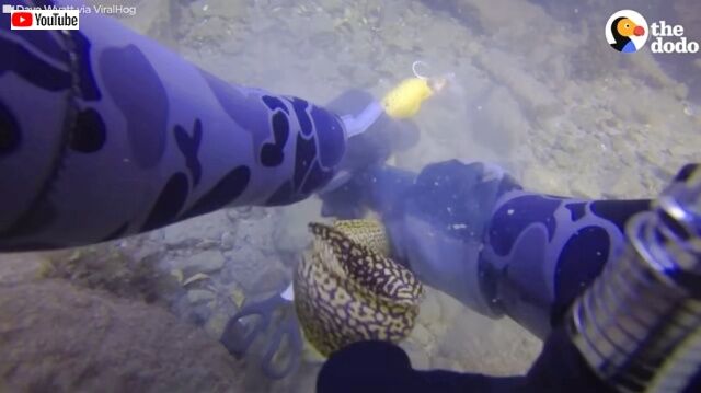 20221009_181508_batch