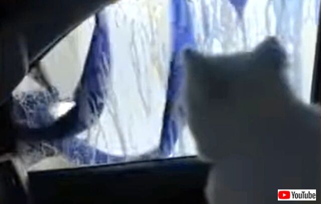 carwash3_640