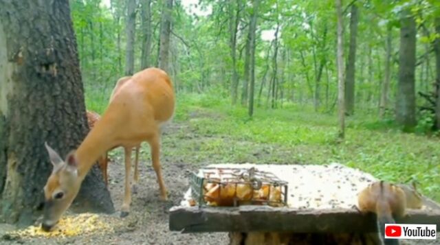 20240114_070336_batch