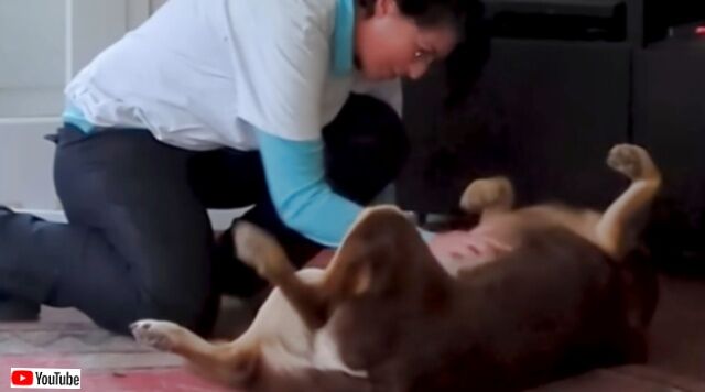 20231104_184656 (2)_batch