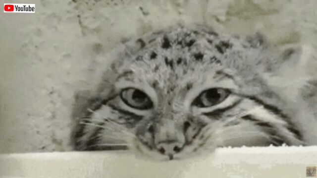 20230828_012411 (5)_batch