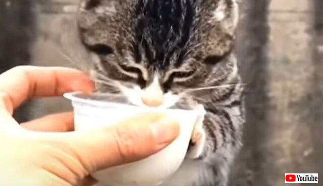 2022-09-23 18 45 04 (4)_640