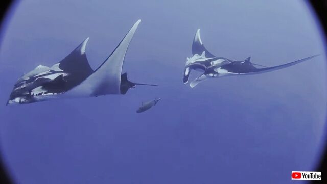 20230131_025250 (2)_batch