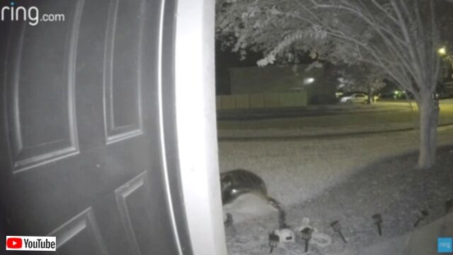 20231226_111056 (6)_batch