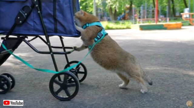 20230519_004413 (5)_batch