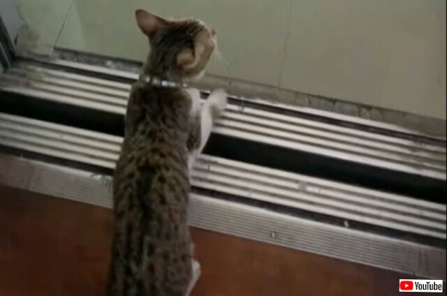 20230624_035748 (4)_batch