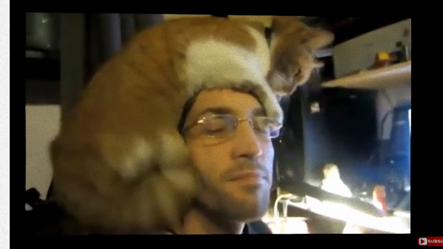 cat-4_e