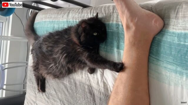 20220911_115838 (4)_batch