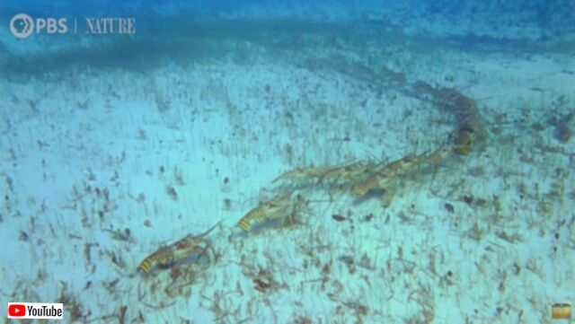 20231129_114840_batch