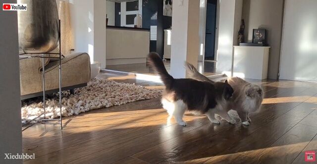 20230210_121724 (3)_batch