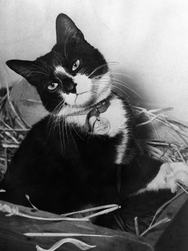 historicalphotos7_e